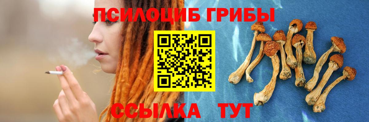 Елабуга  Псилоцибиновые грибы ЛСД  Вход с VPN 